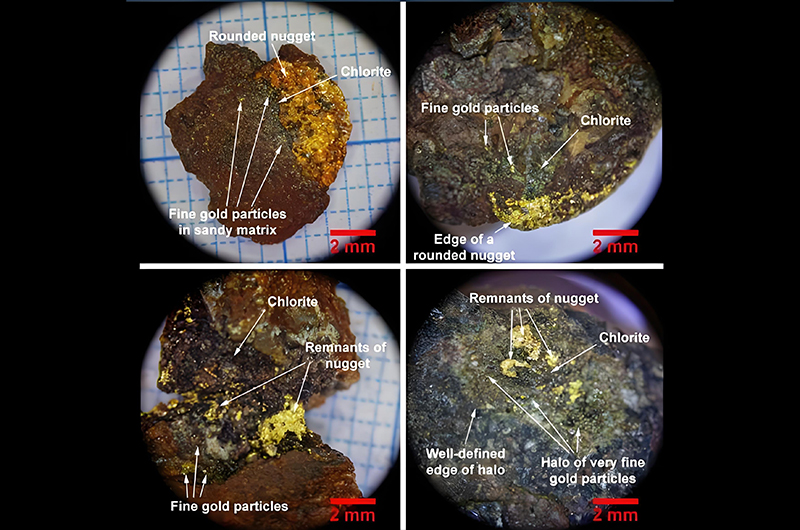 fine gold particles liberated from surrounding minerals