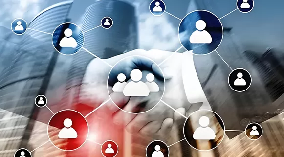 Seek-diversified-market-opportunities