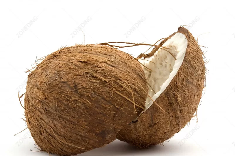 Coconut Shell