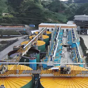 Extraction Methods for Oxidized Gold Ore