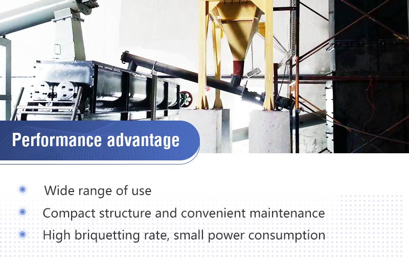 Mineral Powder Briquetting Machine Feature.jpg